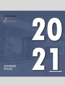 Informe 2021 cfc (1)